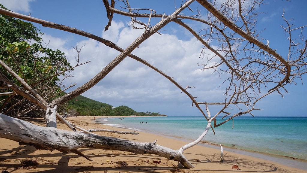 Plage de la Perle 2