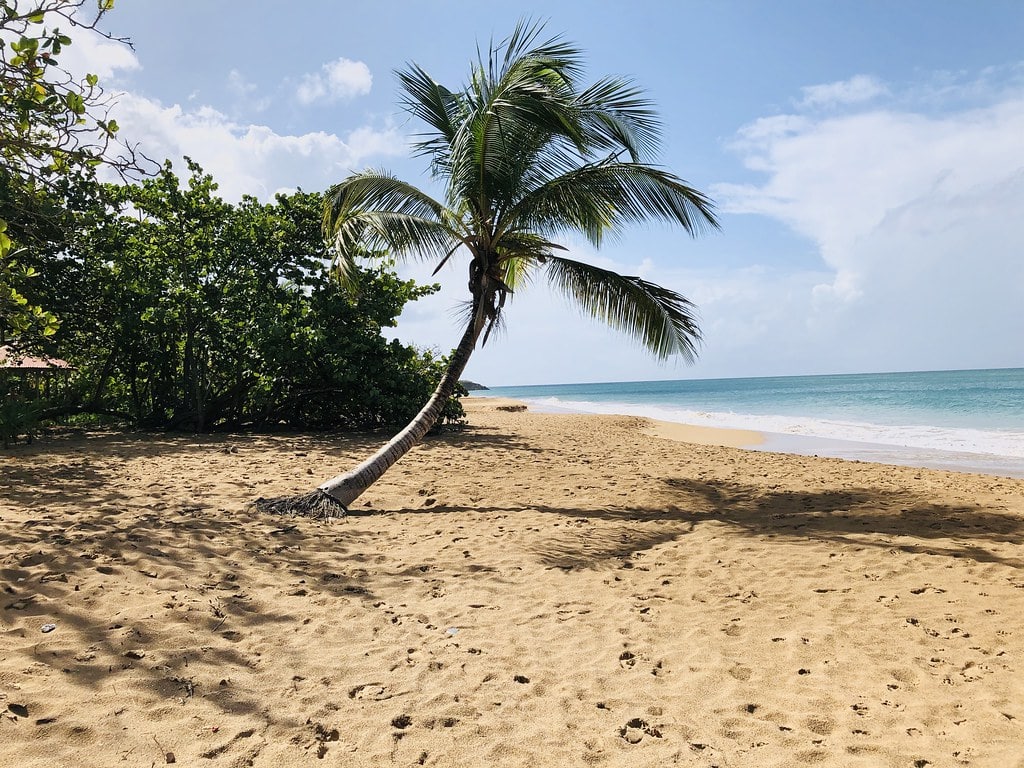 Plage de la Perle, near Deshaies, on Basse-Terre